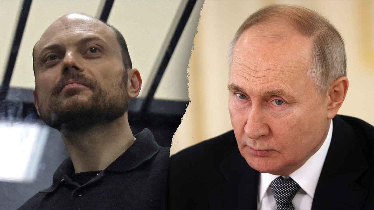 Read more about the article Lawmakers call for release of Putin’s ‘Political prisoner number one’