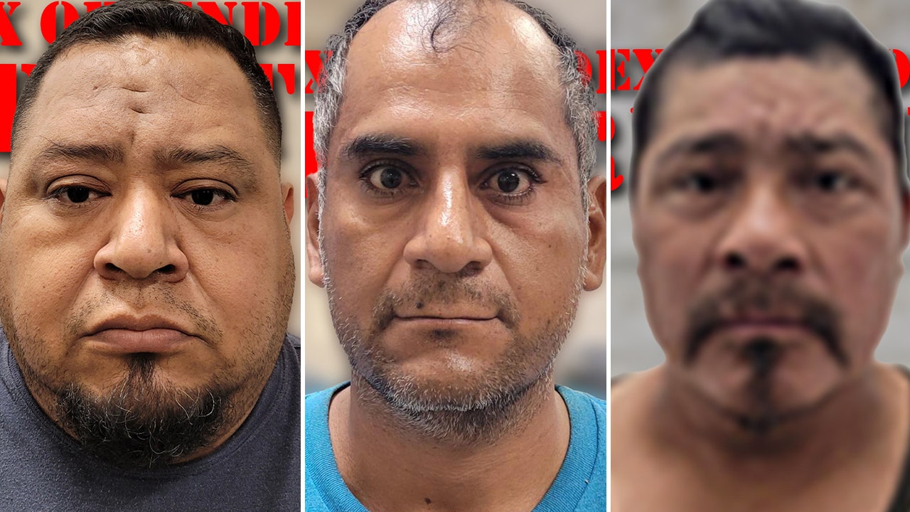 Read more about the article 3 illegal immigrant child sex offenders captured while entering Texas in a single weekend