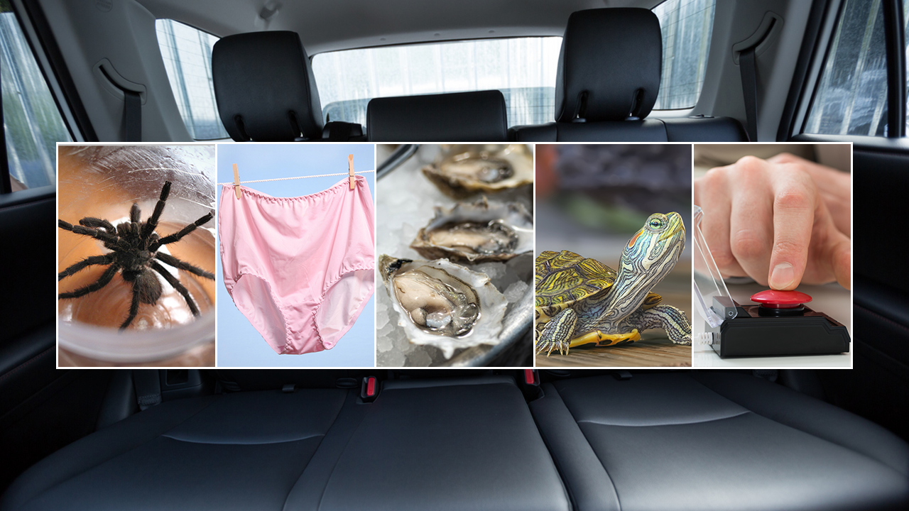Uber riders have reported losing various unique items, including spiders, underwear, oysters, a turtle and a panic button. (iStock)
