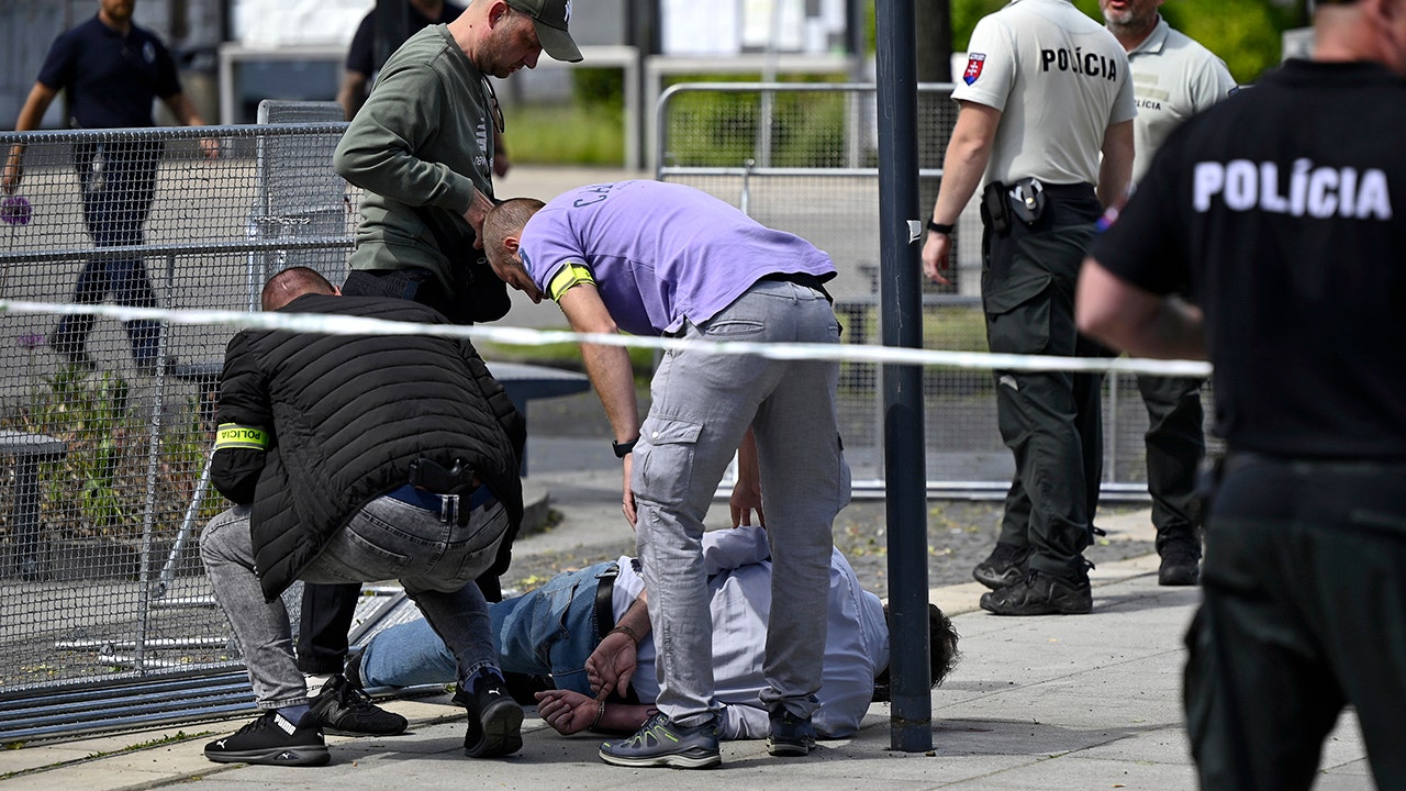Read more about the article Suspect who shot Slovakia PM Fico reveals possible motive: report
