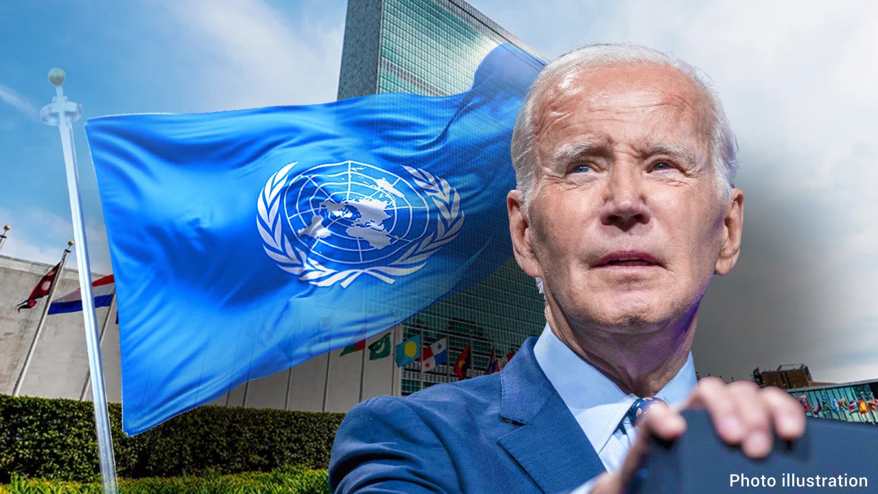 Read more about the article US law could force Biden to pull UN funding if Palestinian recognition bypass succeeds, experts say