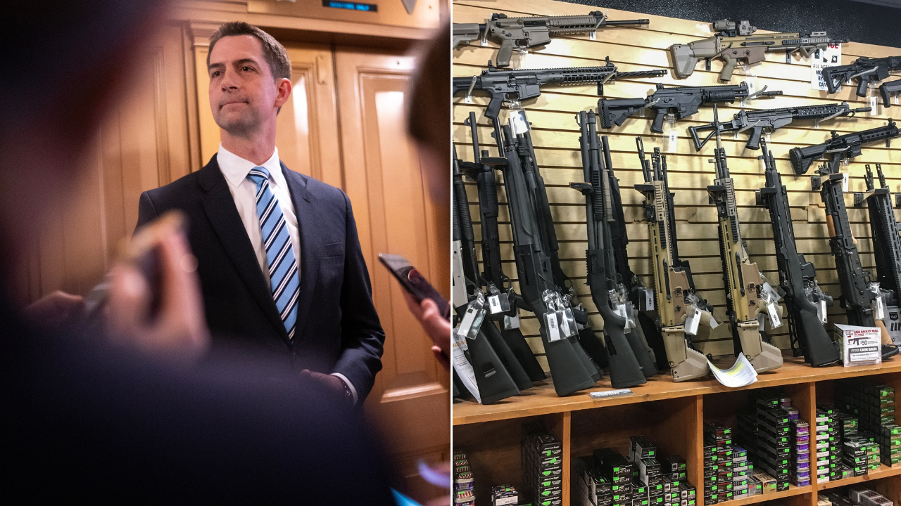 Read more about the article Republicans team up to defeat longtime ‘restriction’ targeting gun owners: ‘Violation of the Second Amendment’