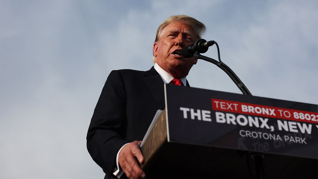 Read more about the article Trump vows to ‘save’ deep-blue New York City in massive, historic Bronx rally