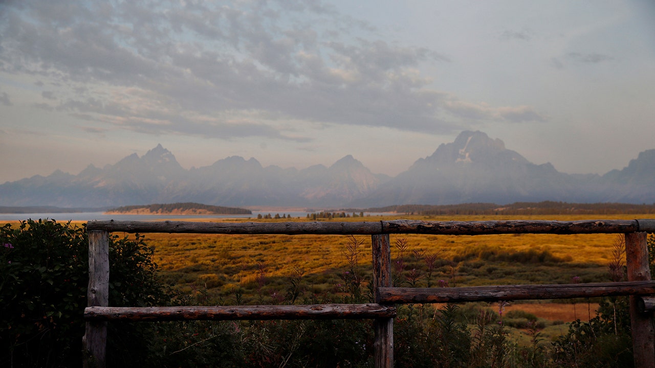Read more about the article Surprise grizzly attack prompts closure of a mountain in Grand Teton