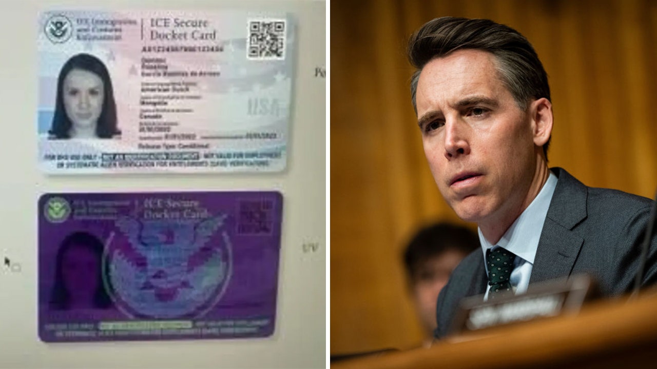 You are currently viewing ‘Enough’: Controversial ID program for illegal immigrants targeted by GOP senator