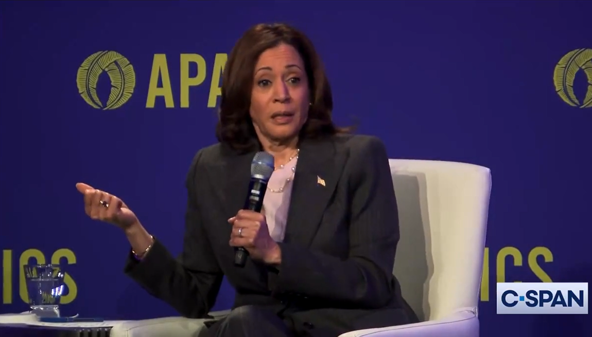 Read more about the article Kamala Harris mourns death of Palestinians in raid that rescued 4 Israeli hostages