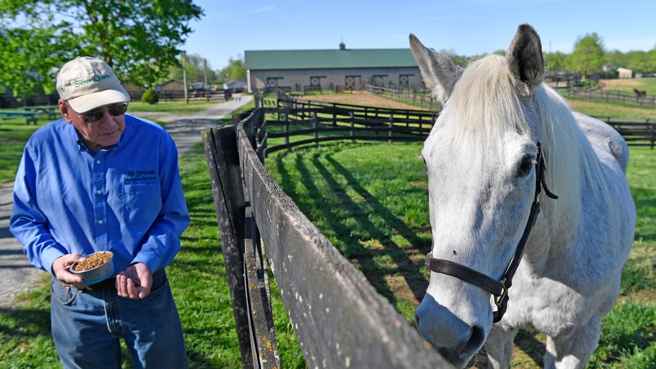 Read more about the article For ex-Derby winner Silver Charm, it’s a life of leisure and Old Friends at Kentucky retirement farm
