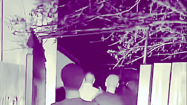Las Vegas alien video shows at least 2 'beings' using 'cloaking' device: 'I'm opening it up to peer review'