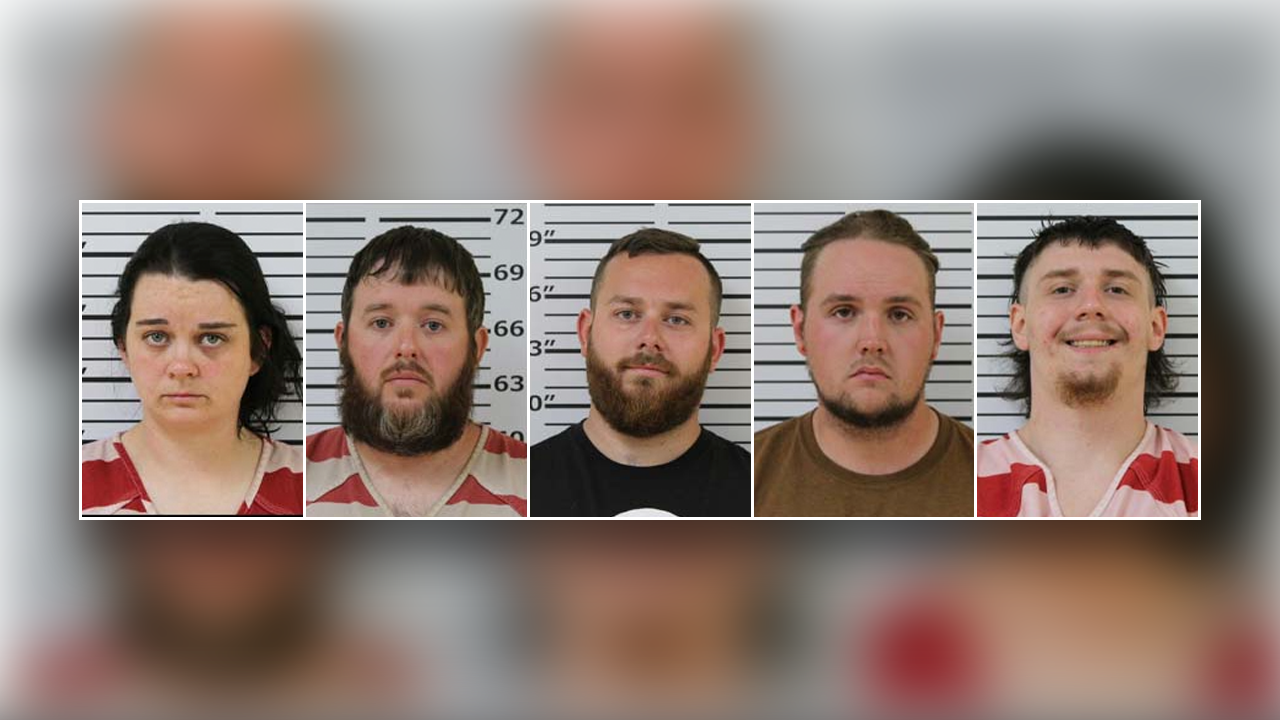 Read more about the article Tennessee hands out charges to 5 in brutal baseball bat, skillet assault