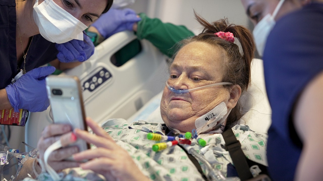 Woman who received experimental pig kidney transplant back on dialysis after new organ failed