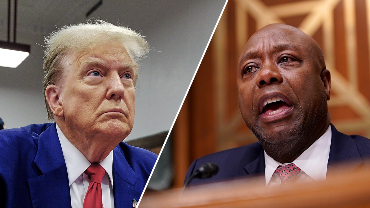 Read more about the article Sen Tim Scott slams ‘disgusting’ court gag order restricting Trump’s ‘First Amendment rights’