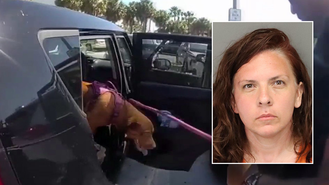 You are currently viewing Florida police arrest woman after rescuing her dog from hot car parked at beach