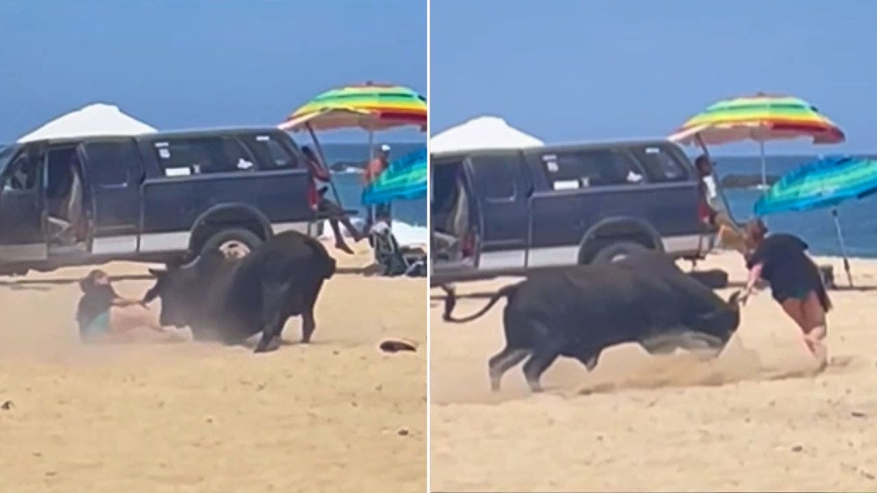 Read more about the article Raging bull attacks woman on Mexican beach as tourists scream in horror