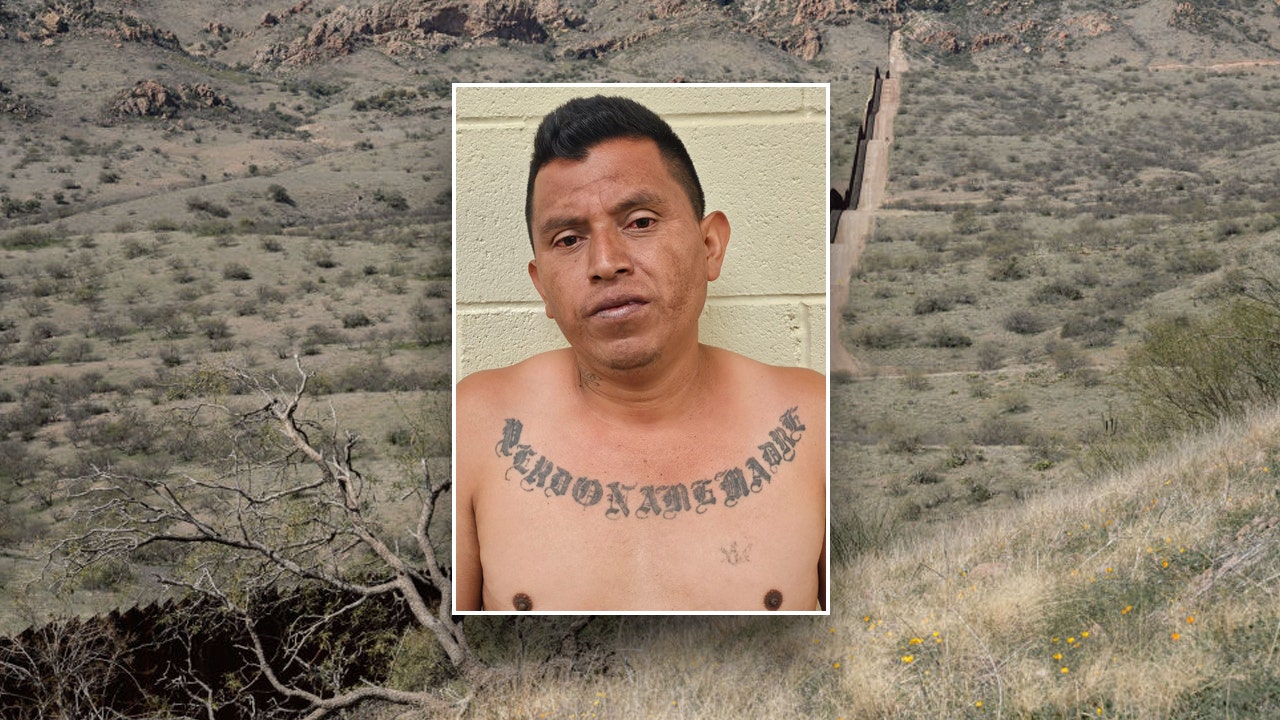 You are currently viewing ‘Child predator’: Illegal immigrant with past sex conviction captured in border state