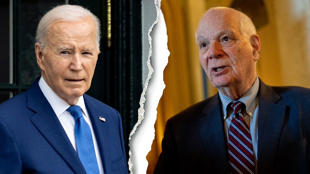 Read more about the article Top Senate Democrat joins growing chorus of lawmakers breaking from Biden on Israel