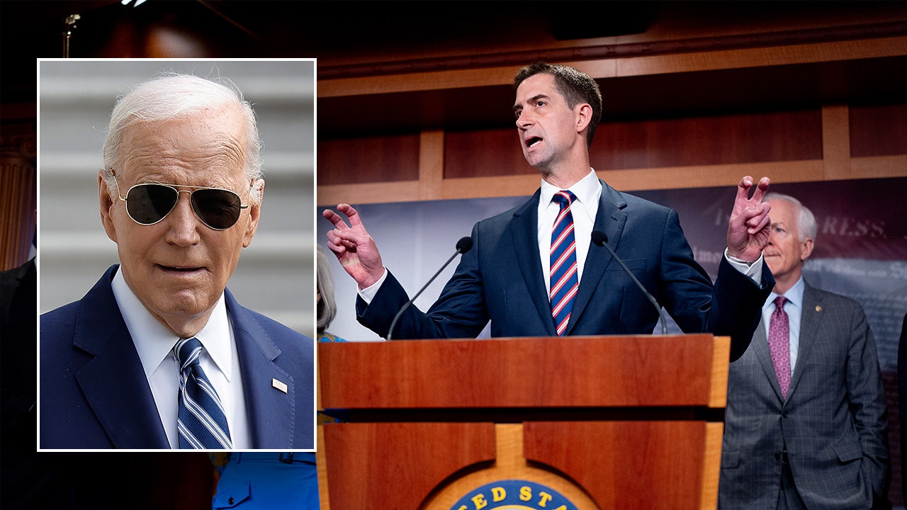 Read more about the article Republicans accuse Biden of putting ‘more pressure on Israel’ than Hamas amid college riots