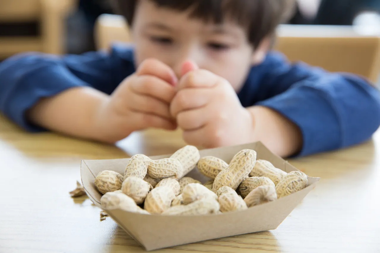Read more about the article Feeding peanuts to babies could prevent allergies through teen years, says study
