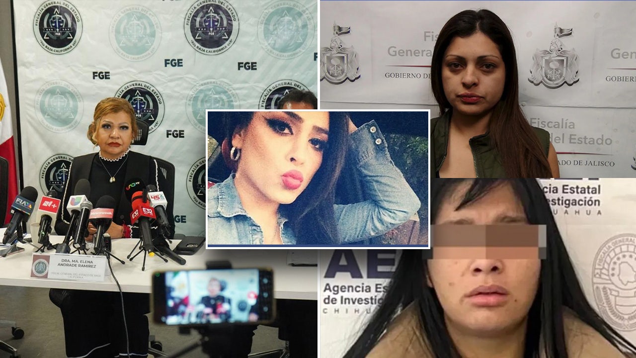 News :Killers in Mexico ‘can look like anyone’ as cartels use women, kids as assassins, PI warns