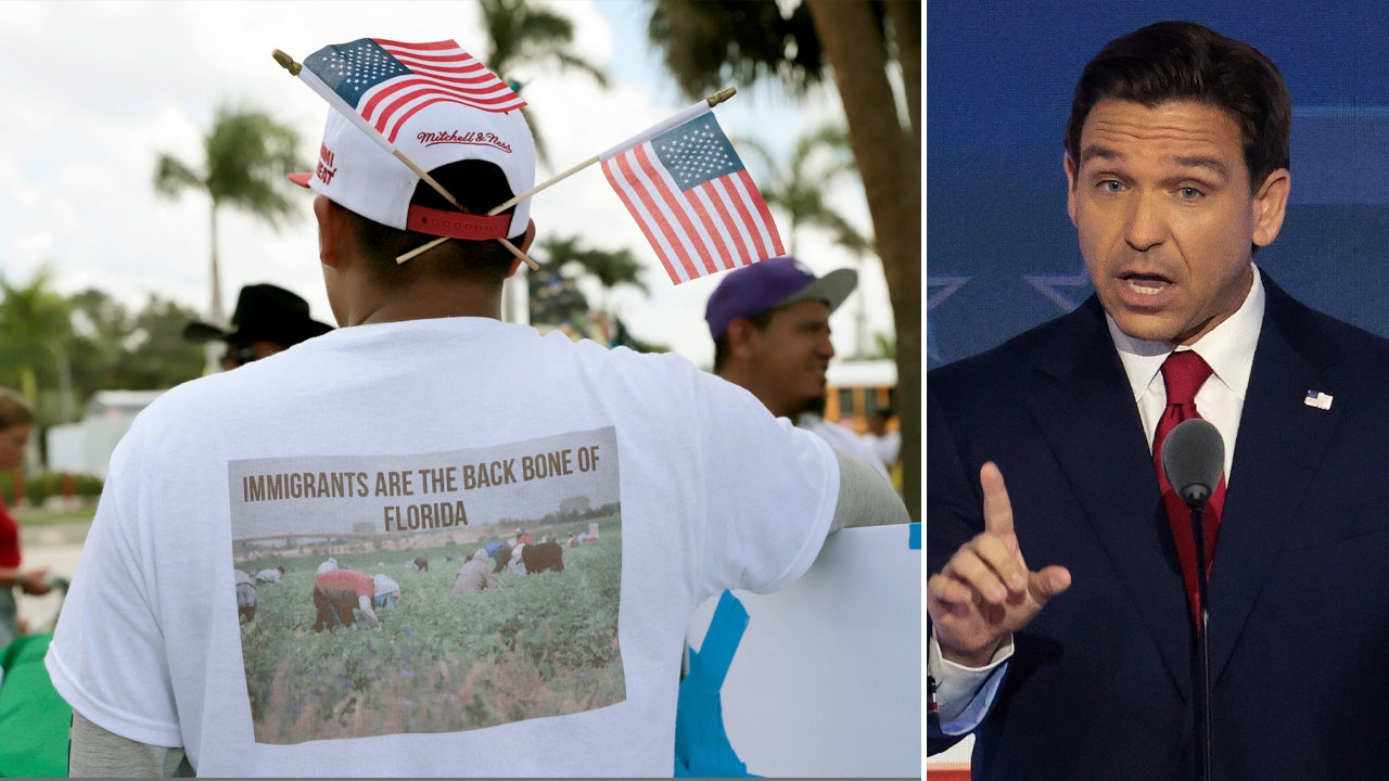 Read more about the article Federal judge temporarily blocks part of DeSantis immigration law
