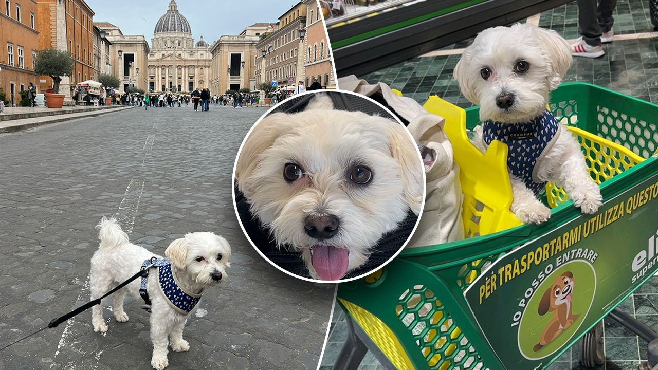 Read more about the article Dog mom spends $900 taking her pup on month-long European vacation across Italy: ‘Great companion’