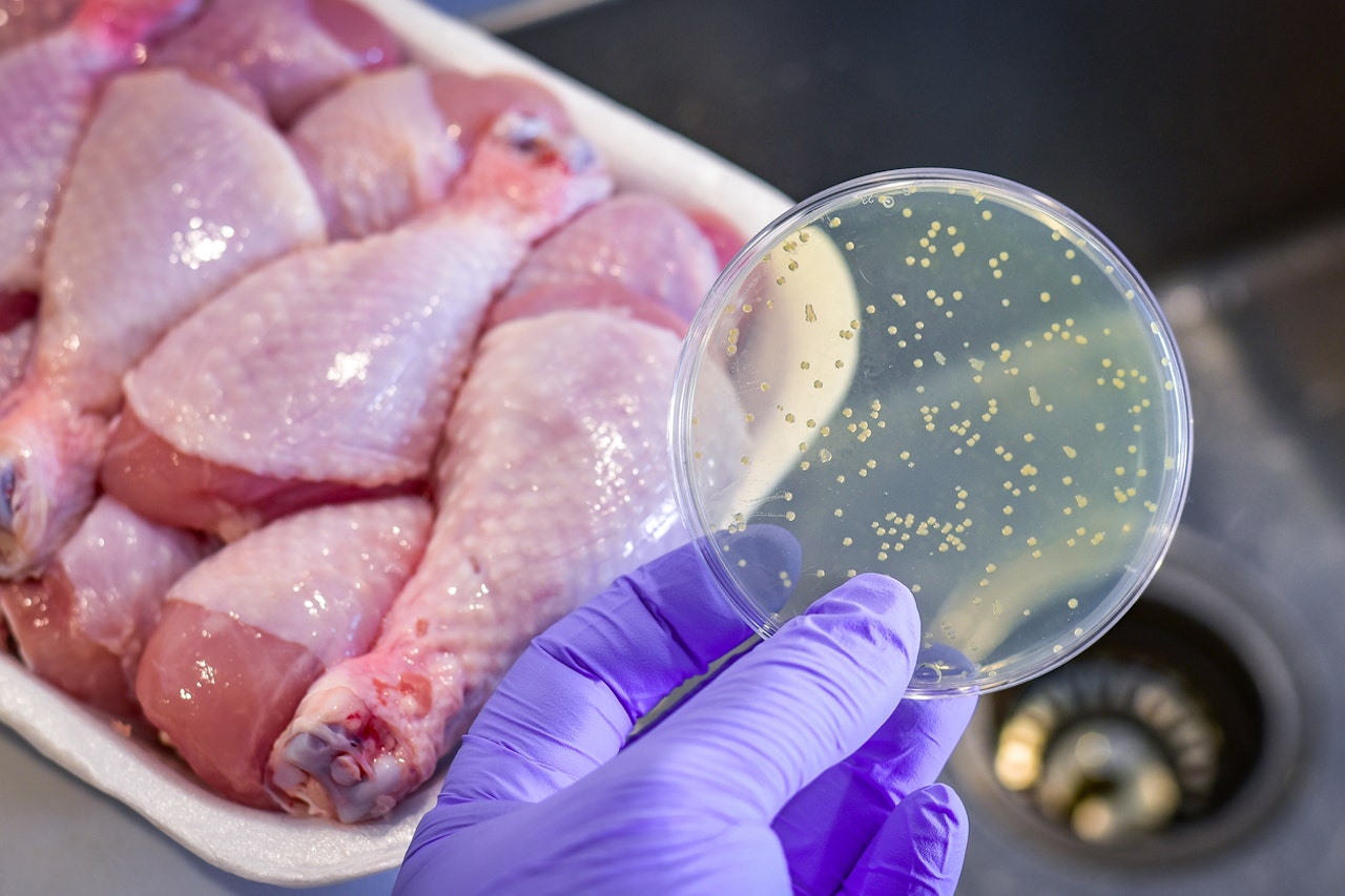 High levels of resistant bacteria found in uncooked meats and raw dog food: ‘Red flag’