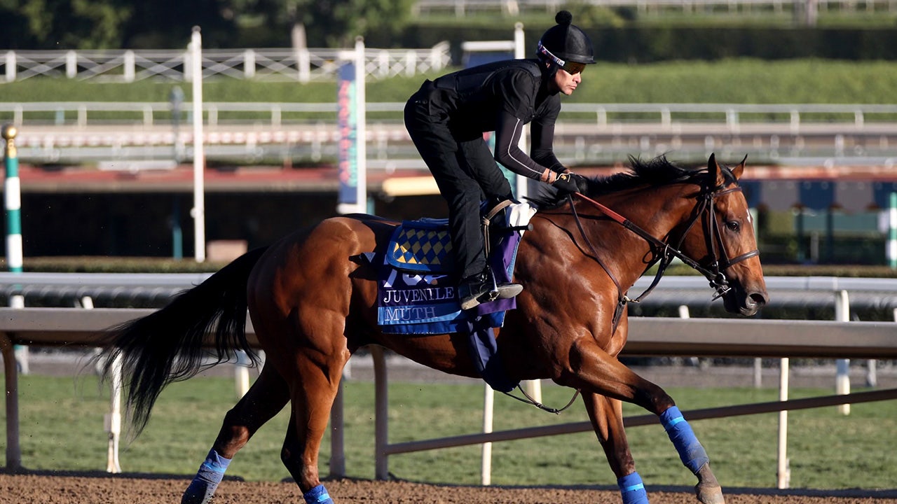 Read more about the article Preakness Stakes favorite and Bob Baffert-trained horse ruled out after spiking a fever