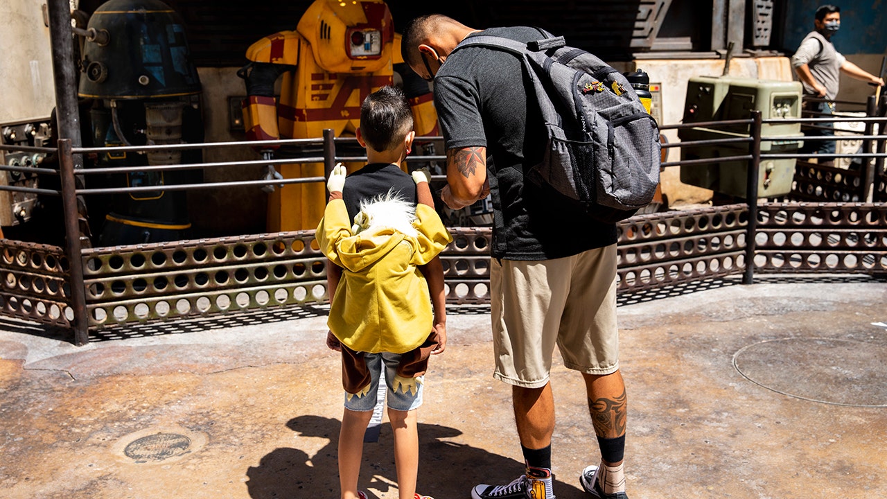Theme park necessities: Helpful items to pack in your backpack for a day at the park