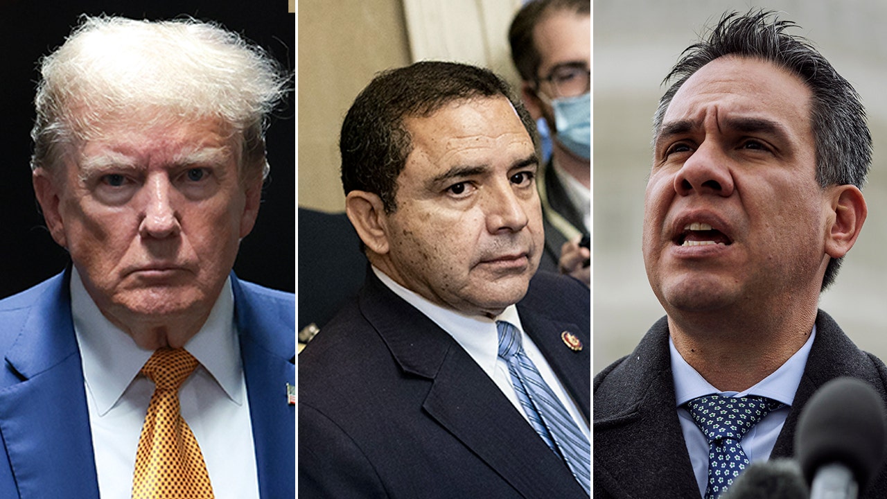 Read more about the article Trump, House Dems defend Texas congressman accused of accepting Mexican bribes, but for very different reasons