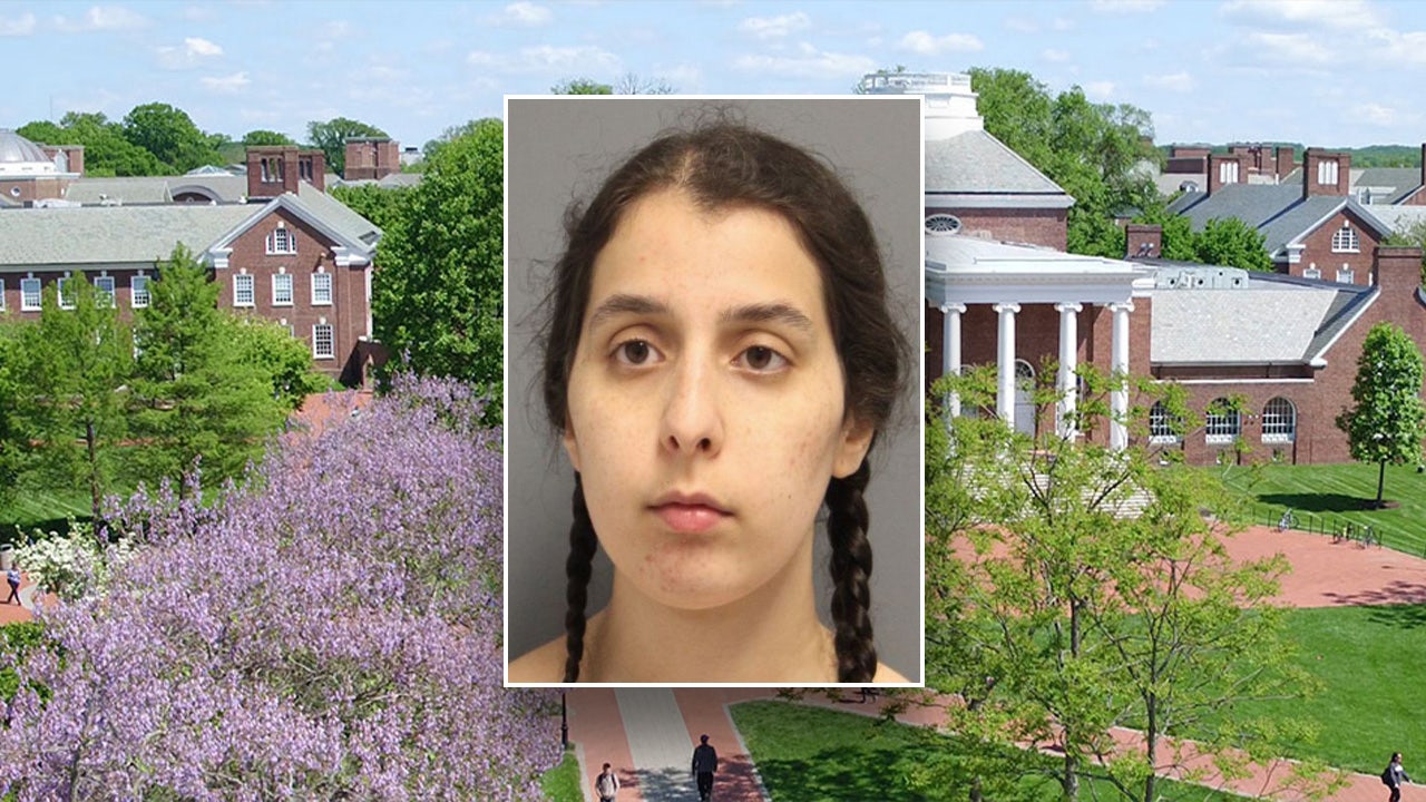 Read more about the article Delaware student who went on ‘antisemitic tirade,’ spit on Holocaust memorial charged with hate crime: warrant