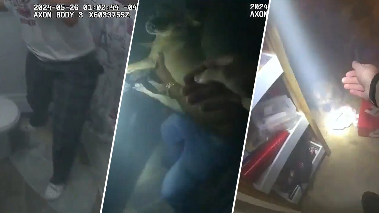 Read more about the article Police officer breaks down door to rescue teen, pets trapped in burning building: bodycam