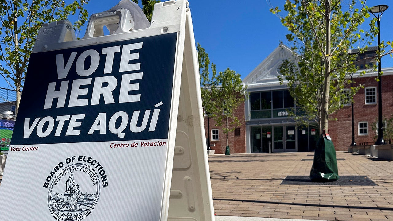 Read more about the article More than 500 noncitizens registered to vote in DC Council elections Tuesday despite House reckoning