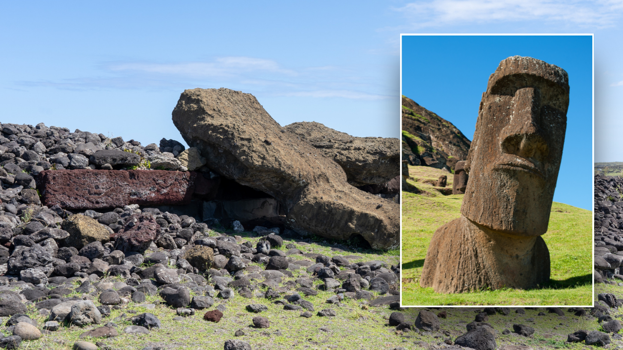 Easter Island ‘ecocide’ myth debunked in new scientific study