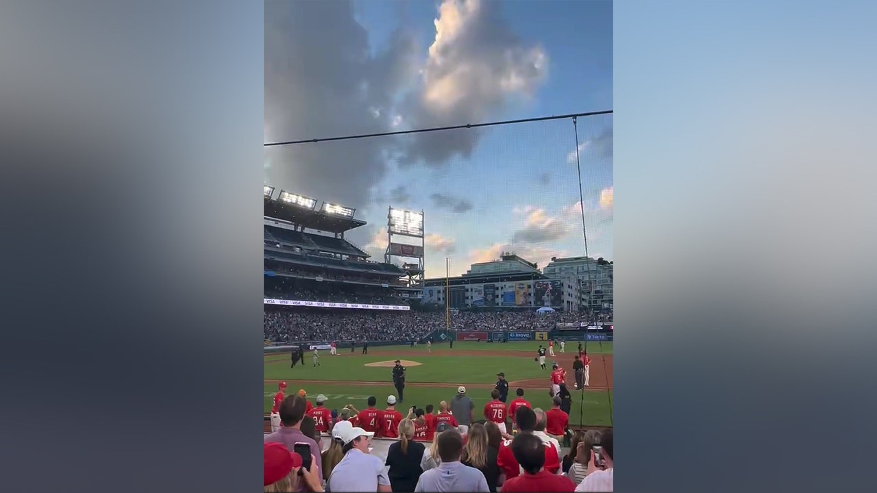 Read more about the article Congressional Baseball Game descends into chaos after protesters storm field