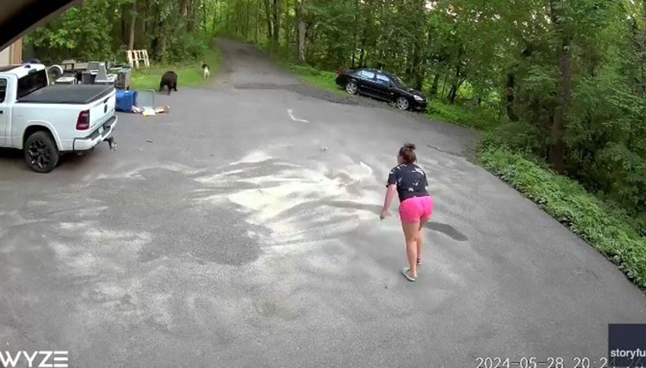Une vidéo palpitante montre un chien poursuivant un ours, puis une femme du Minnesota dans une allée : “Il s’est jeté sur moi”