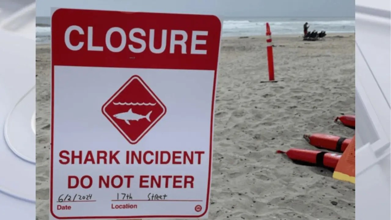 Shark attack off California coast leaves 46-year-man hospitalized, beaches closed