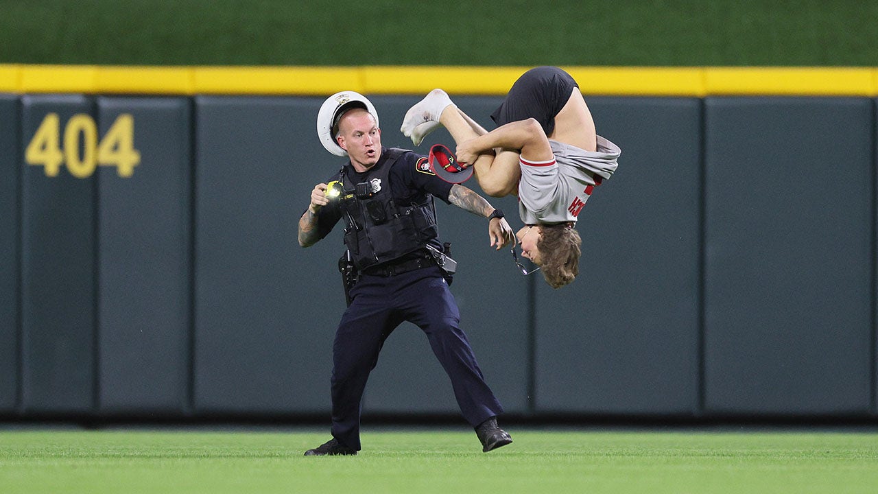 Read more about the article Reds fan who was tased after backflip on field has epic exchange with judge