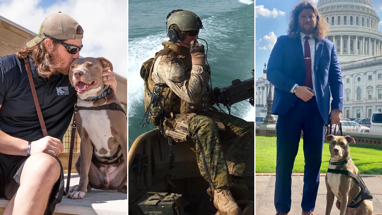 Read more about the article Service dogs offer ‘significant’ benefits for veterans with PTSD, study finds