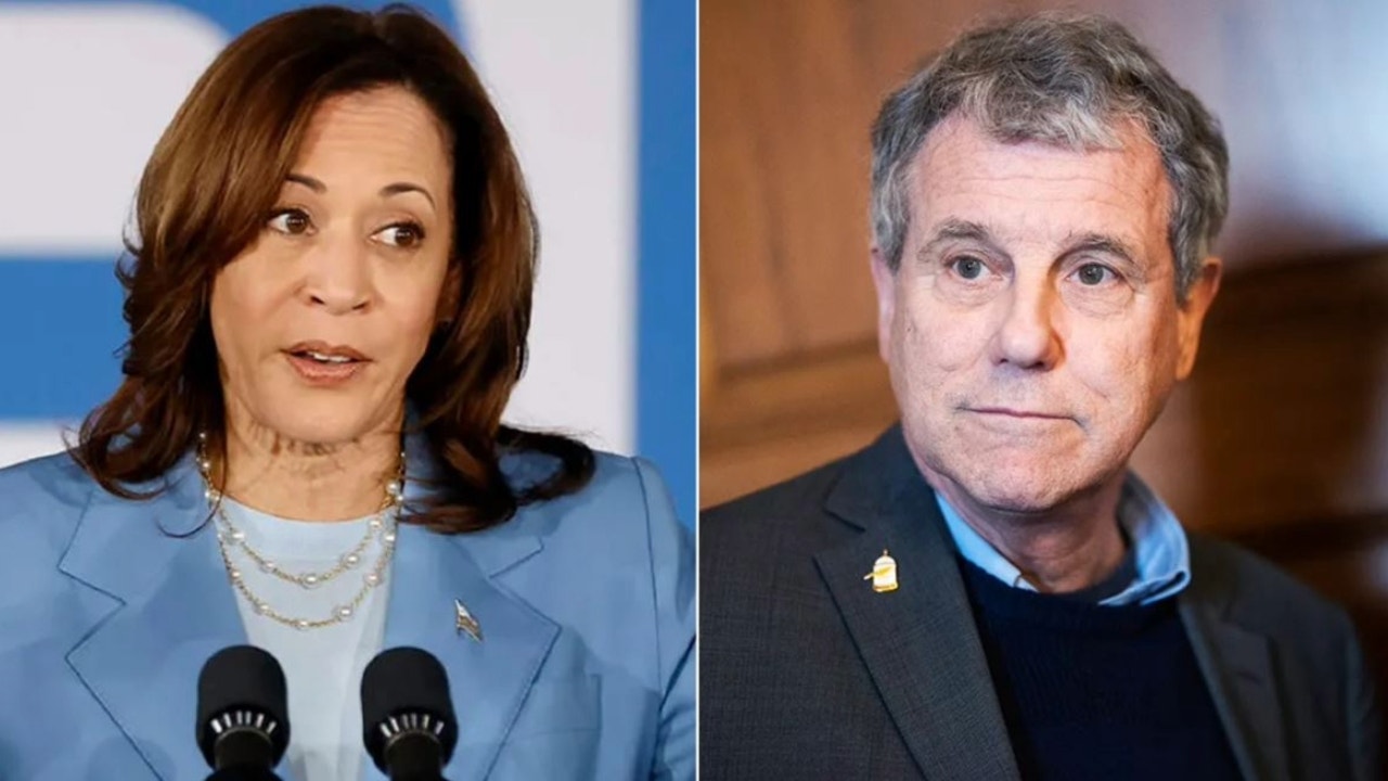 Vulnerable Dem senator ripped for voting in ‘complete lockstep’ with ‘friend’ Harris: ‘Radical views’