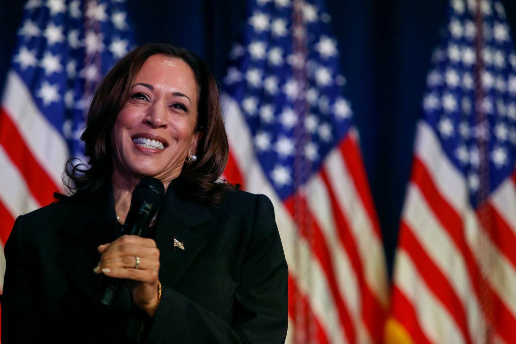 Kamala Harris now backed by more than half of delegates needed to win nomination: report