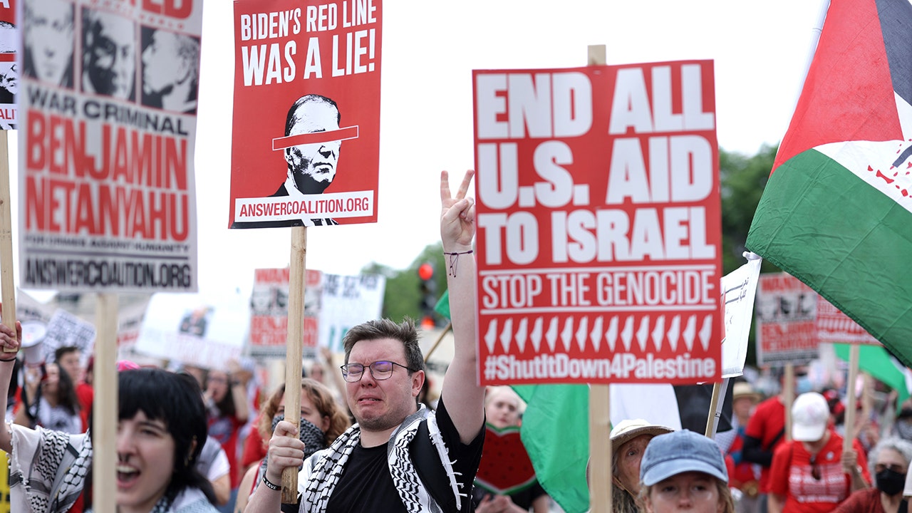 Anti-Israel protesters handed legal setback in effort to expand DNC rally