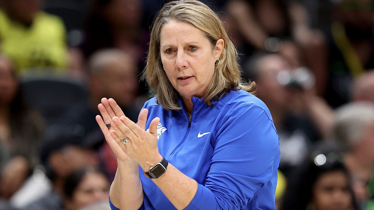 Cheryl Reeve, Team USA women's basketball and Lynx head coach, blasts