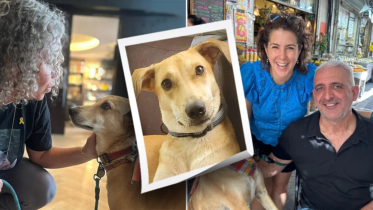 Dog lost for 40 days after terror attack on Israel comforts families of