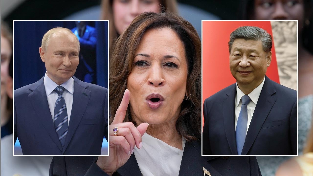 National security experts warn against ‘chaos’ of US elections as Harris enters race