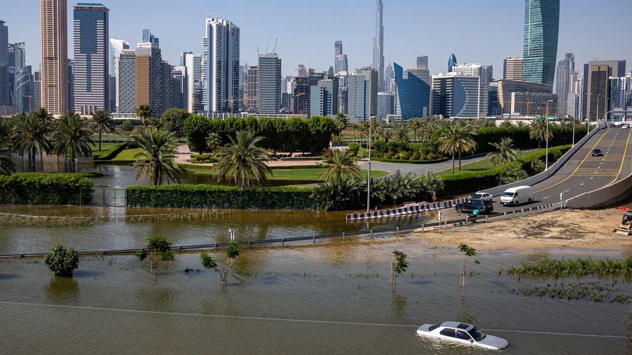 featured image thumbnail for post Dengue surges in UAE after record-breaking rainfall leaves ideal conditions for mosquitoes