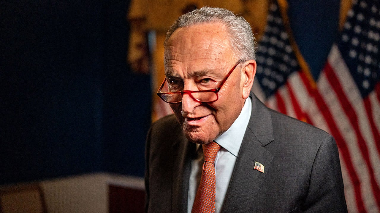 Republicans say Schumer must act on voter proof of citizenship bill if Democrat 'really cares about democracy'