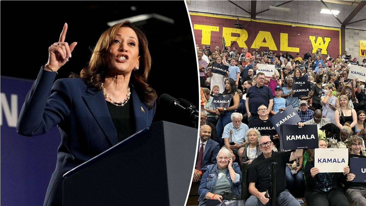 Dem voters at Harris’ Milwaukee rally say they’re fired up: ‘United and energized’