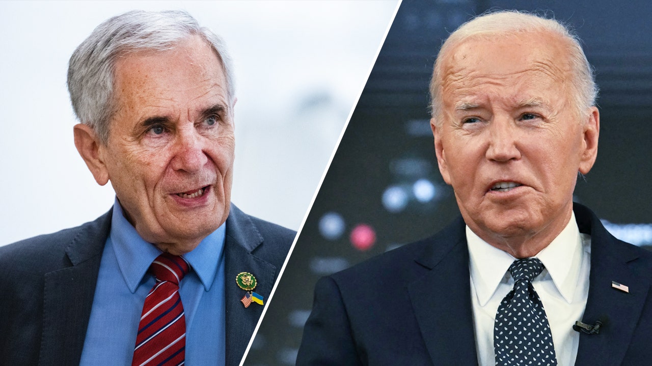 Texas Congressman becomes first elected Dem to call on Biden to withdraw from election: 'Too much is at stake'