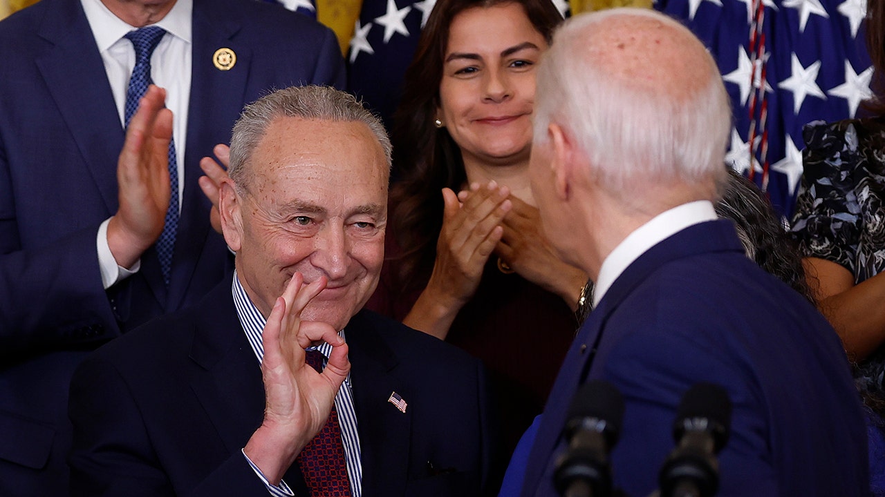 Schumer keeps doubts about Biden private, won't undermine POTUS publicly, Democrats say: report