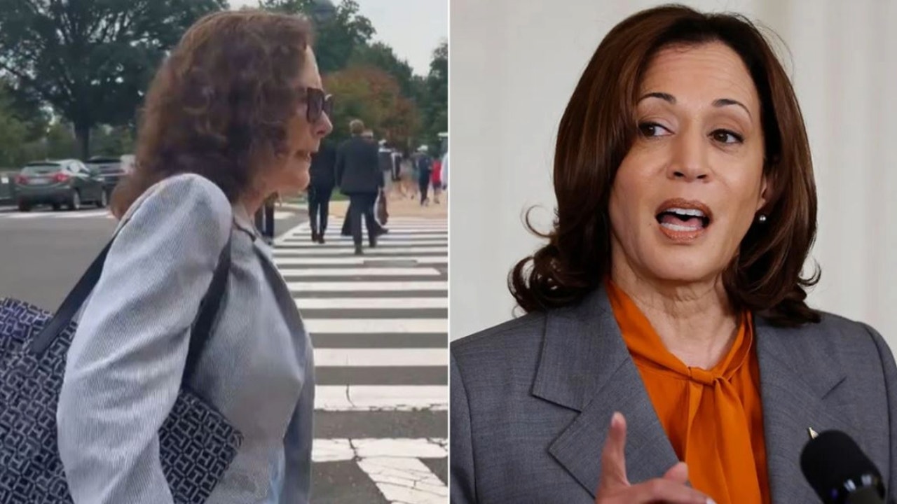 NextImg:WATCH: House Dem makes bizarre claim while dodging question on VP Harris' 'border czar' record