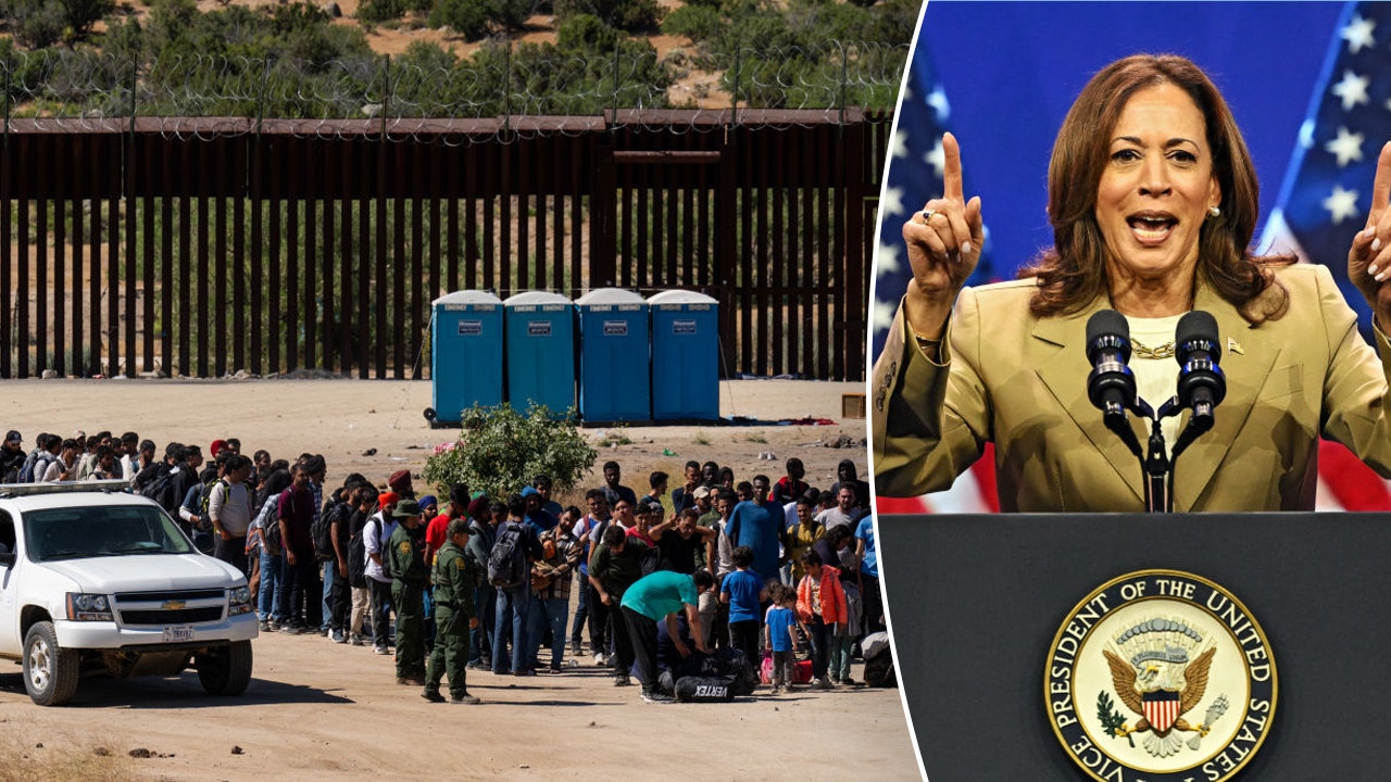 Flashback: Harris campaign shared study touting ‘electoral’ benefits of not deporting illegal immigrants